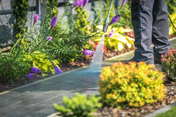 Professional Pressure Washing Services in Chama, NM